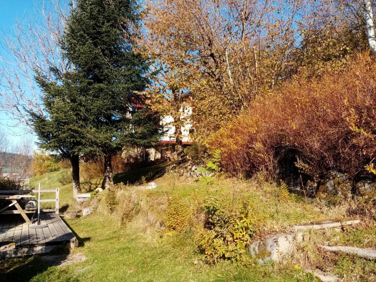 Au Grenier Du Lac Gérardmer Esterno foto