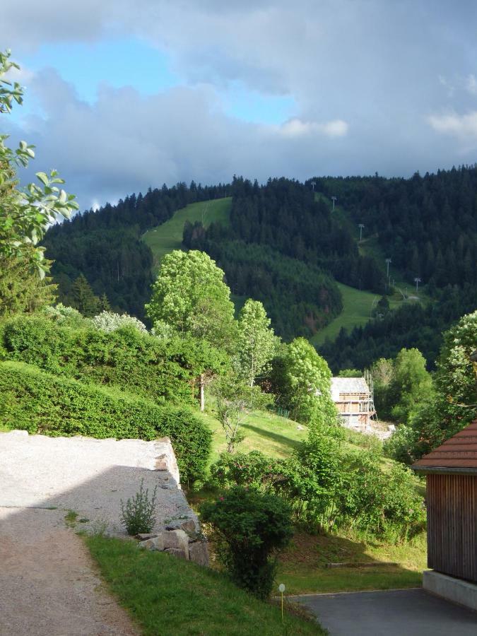 Au Grenier Du Lac Gérardmer Esterno foto