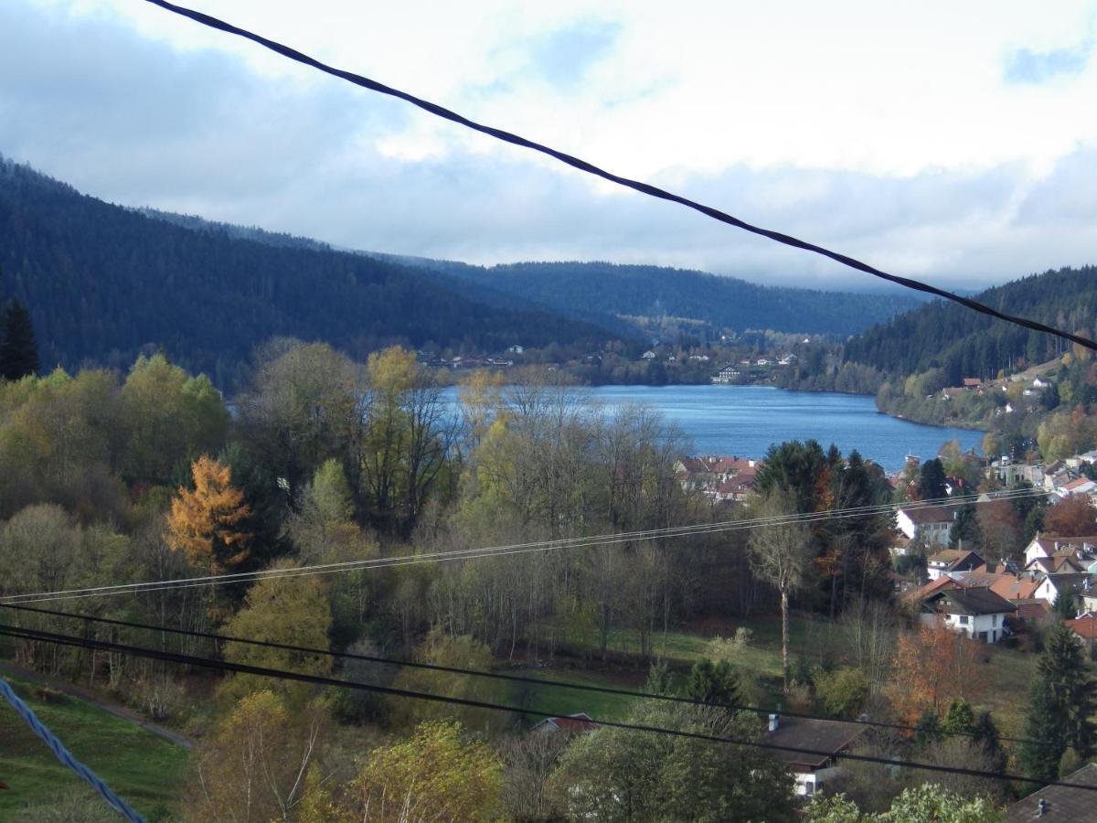 Au Grenier Du Lac Gérardmer Esterno foto